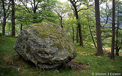 Moss-covered stone in woods above Llanberis