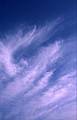 Wispy cirrus clouds in a blue sky