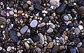 Small pebbles on a beach
