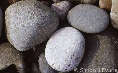 Round pebbles on a beach
