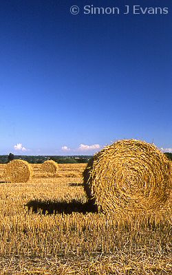 Round straw bales 