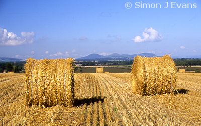 Round straw bales and the Breidden Hills