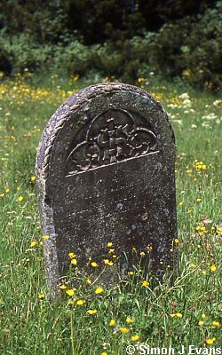 A gravestone in the wildflower churchyard at Hope Bagot