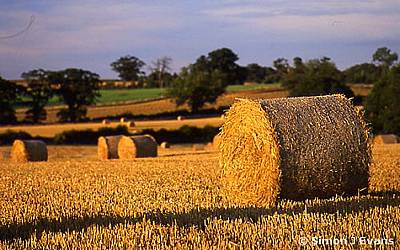 Round bales in a field near Shrewsbury